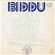 Biddu - Hey What's Wrong With England